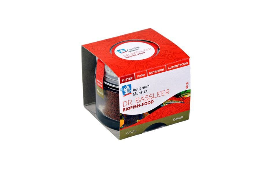 Aquarium Münster Dr. Bassleer - Cavar
