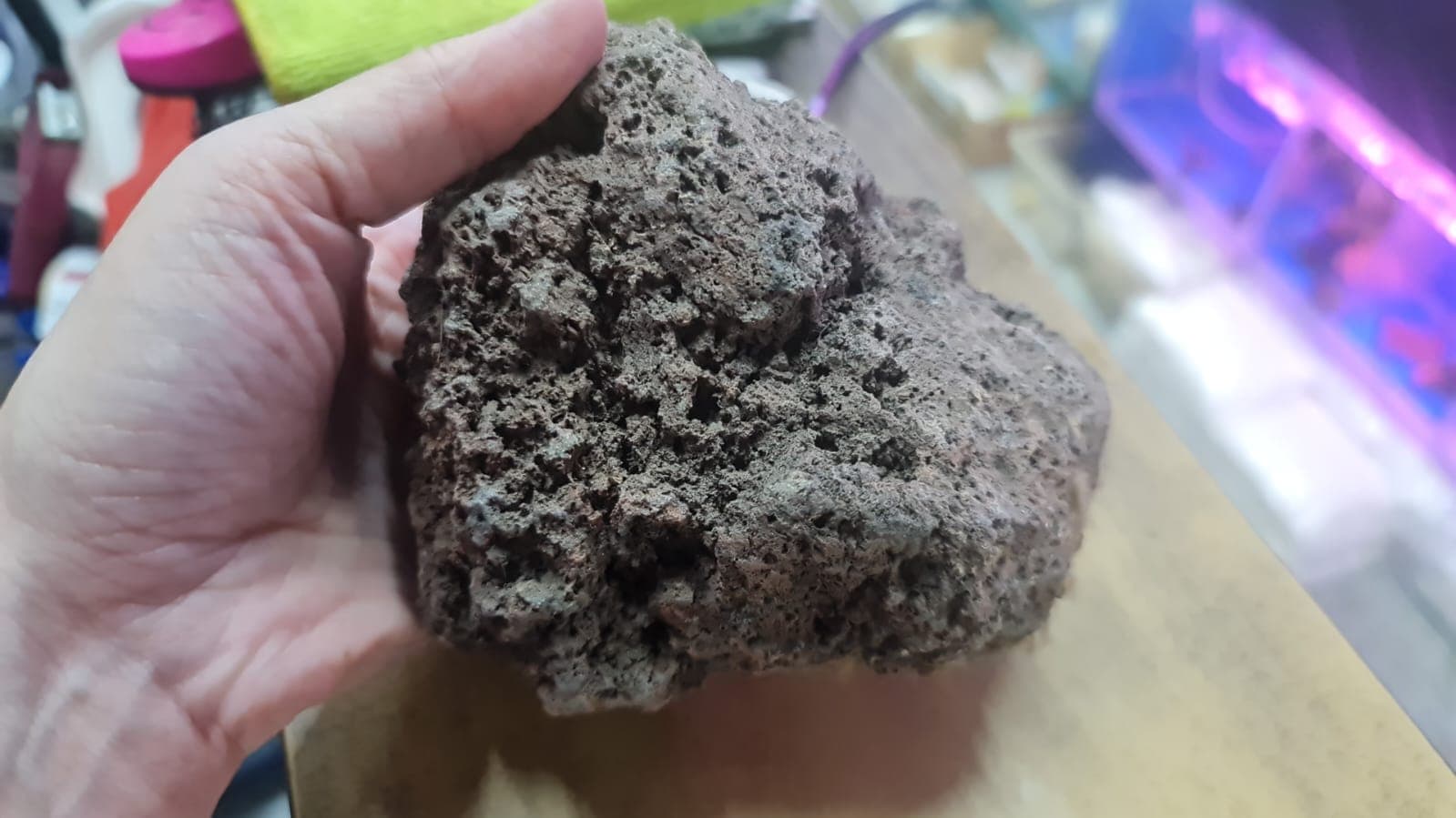 Lava rock with christmas moss