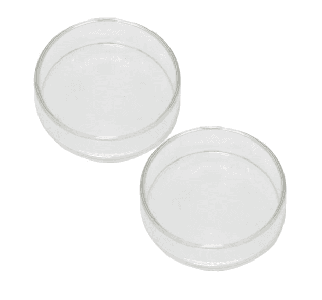 Glass Round Dish (Option Available)