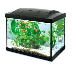Hailea K-20 Aquarium Tank