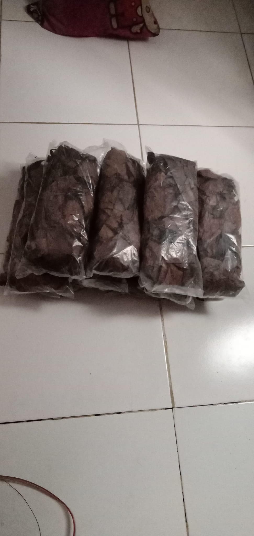 Indian almond leaves (Terminalia Catappa Indonesia)