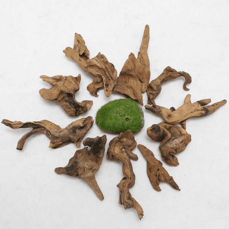 Aquarium terrarium Natural drift wood micro hardscape decoration air plants