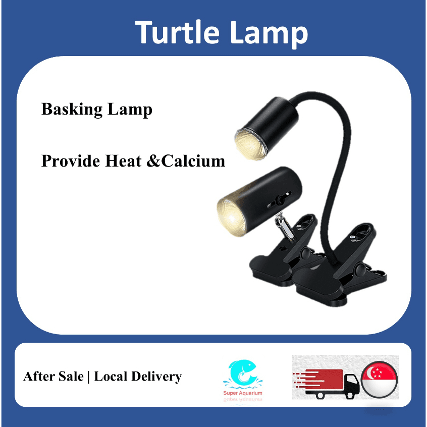UVA + UVB Turtle Basking Lamp, Turtle Light For Metabolism Boost & Mood Regulation | Turtle Lamp