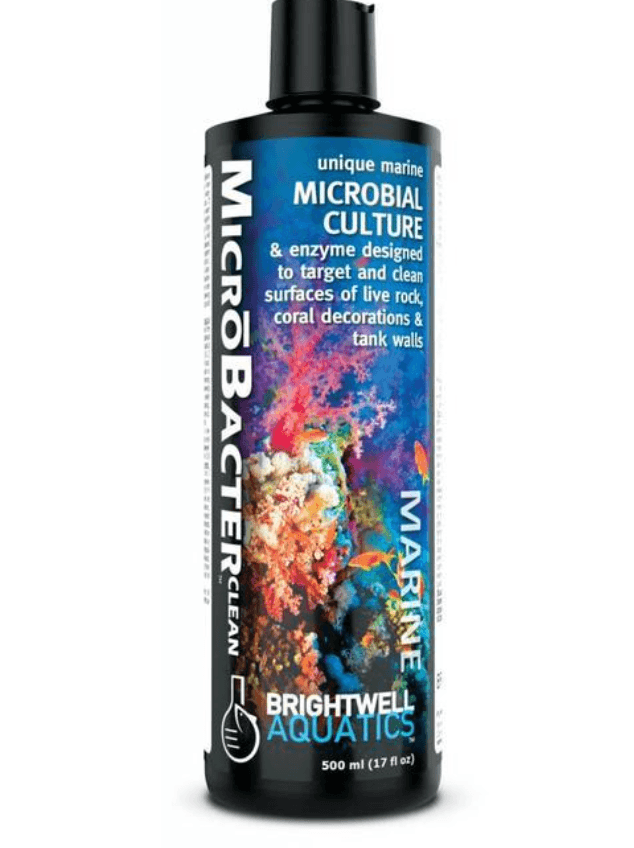 BRIGHTWELL AQUATICS MicroBacterClean