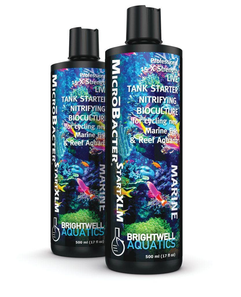 BRIGHTWELL AQUATICS MicroBacter Start XLM