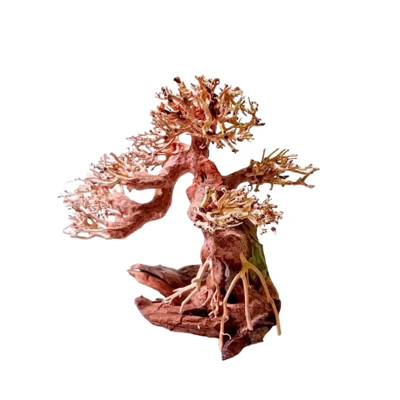 ANS Bonsai Tree 17 XL