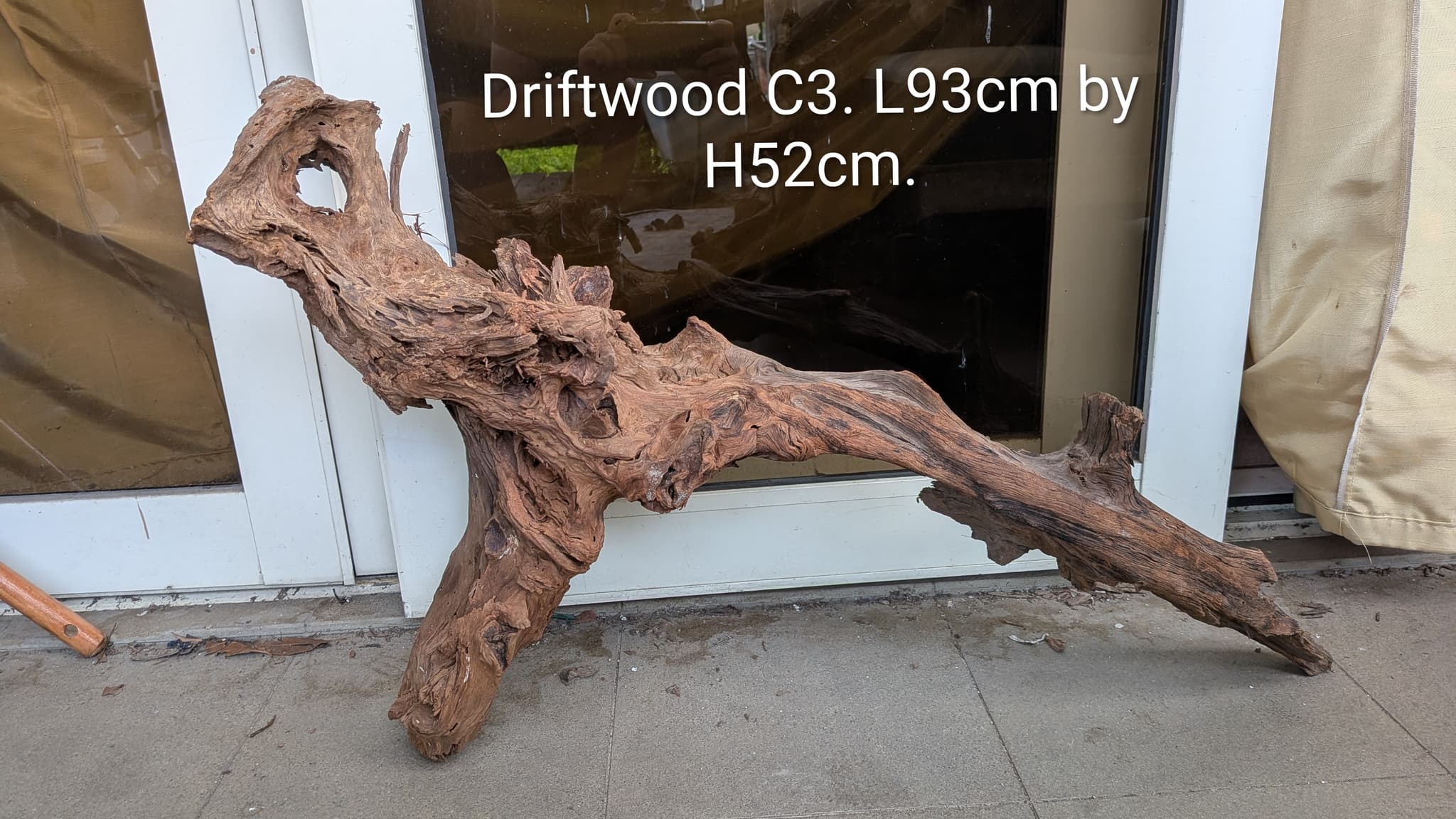 Extra large beautiful shaped Malayan driftwood
